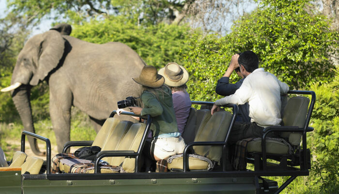 9 common safari mistakes to avoid