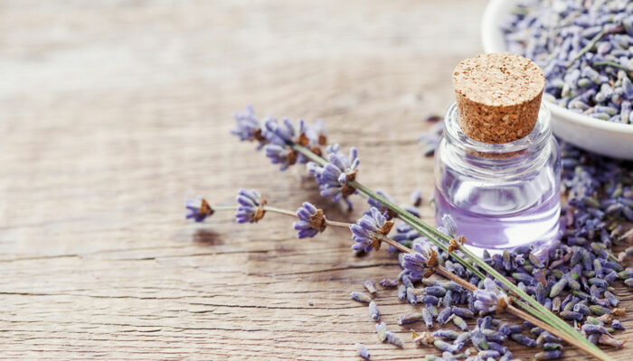 Natural scents and ingredients that repel mosquitoes