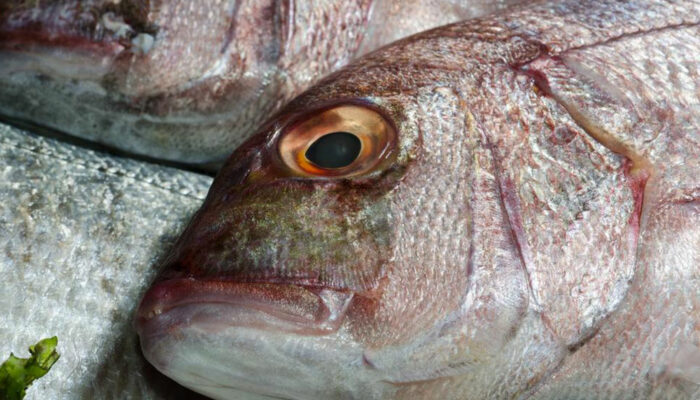 10 best foods to manage hemophilia and its symptoms