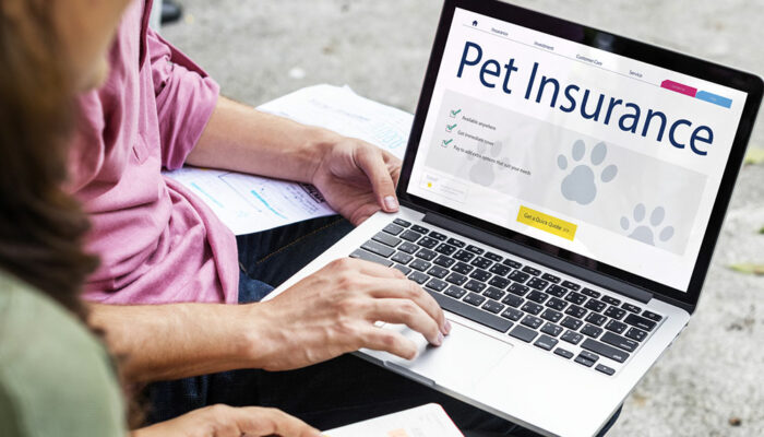 8 mistakes to avoid while buying pet insurance