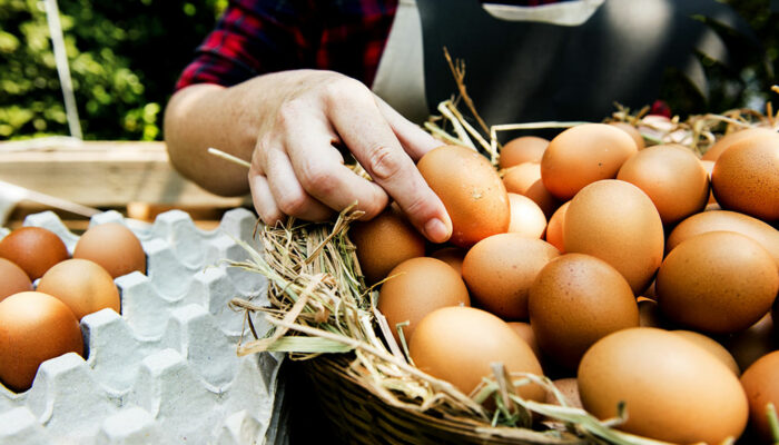 16 foods to avoid on a cruise trip